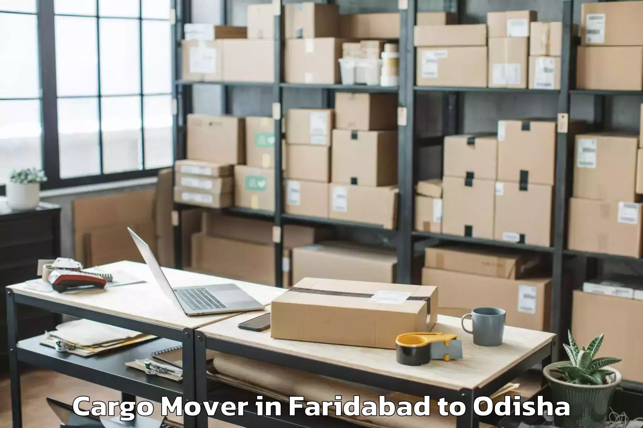 Top Faridabad to Kiit University Bhubaneswar Cargo Mover Available